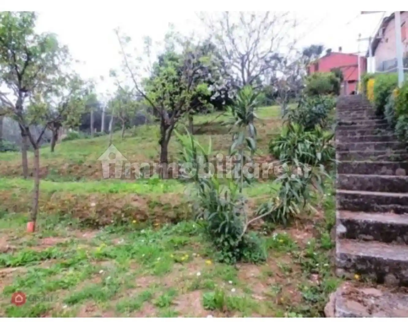 Rustico - Casale in vendita a Pietrasanta