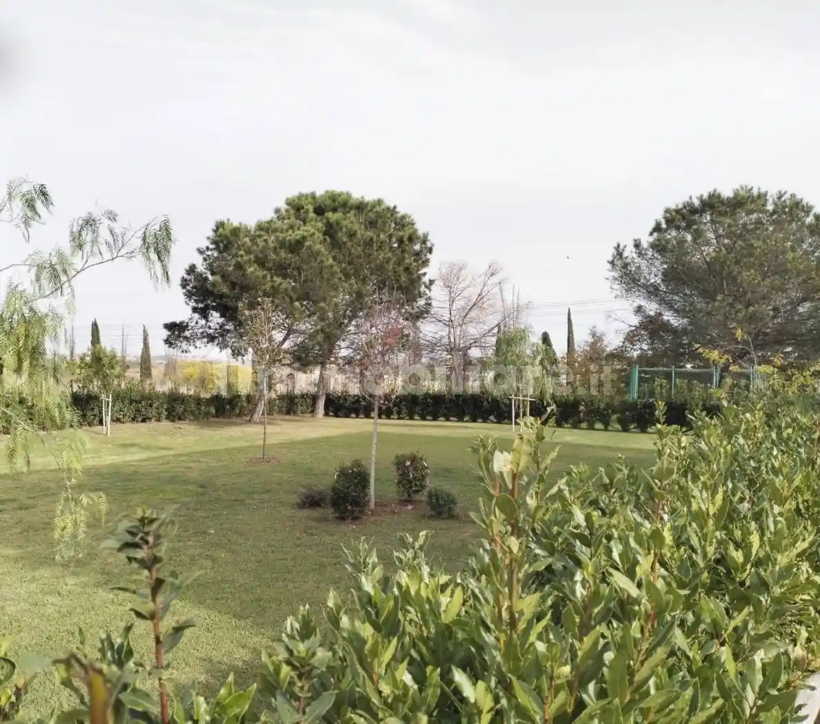 Trilocale via Nino Taranto, Malafede, Roma - foto 2