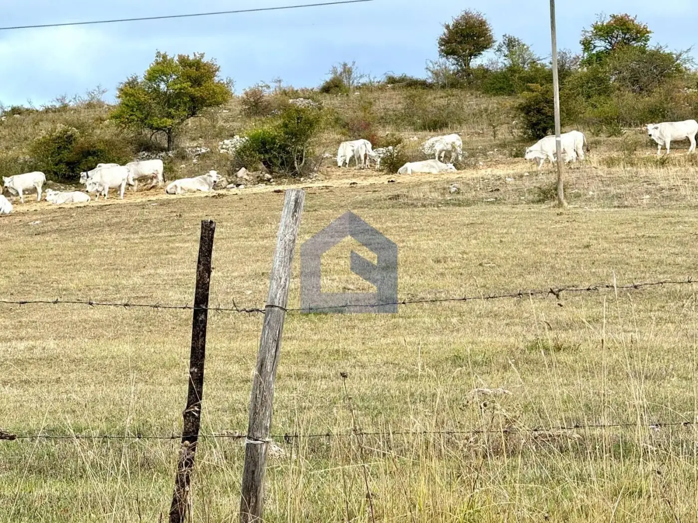 Casale 467 m², Agnone - foto 4