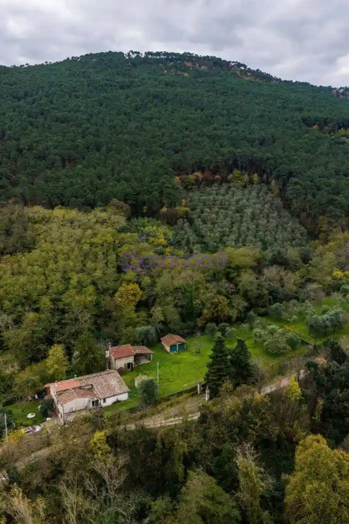 Villa unifamiliare via del Mariotto, Centro, Buti - foto 2