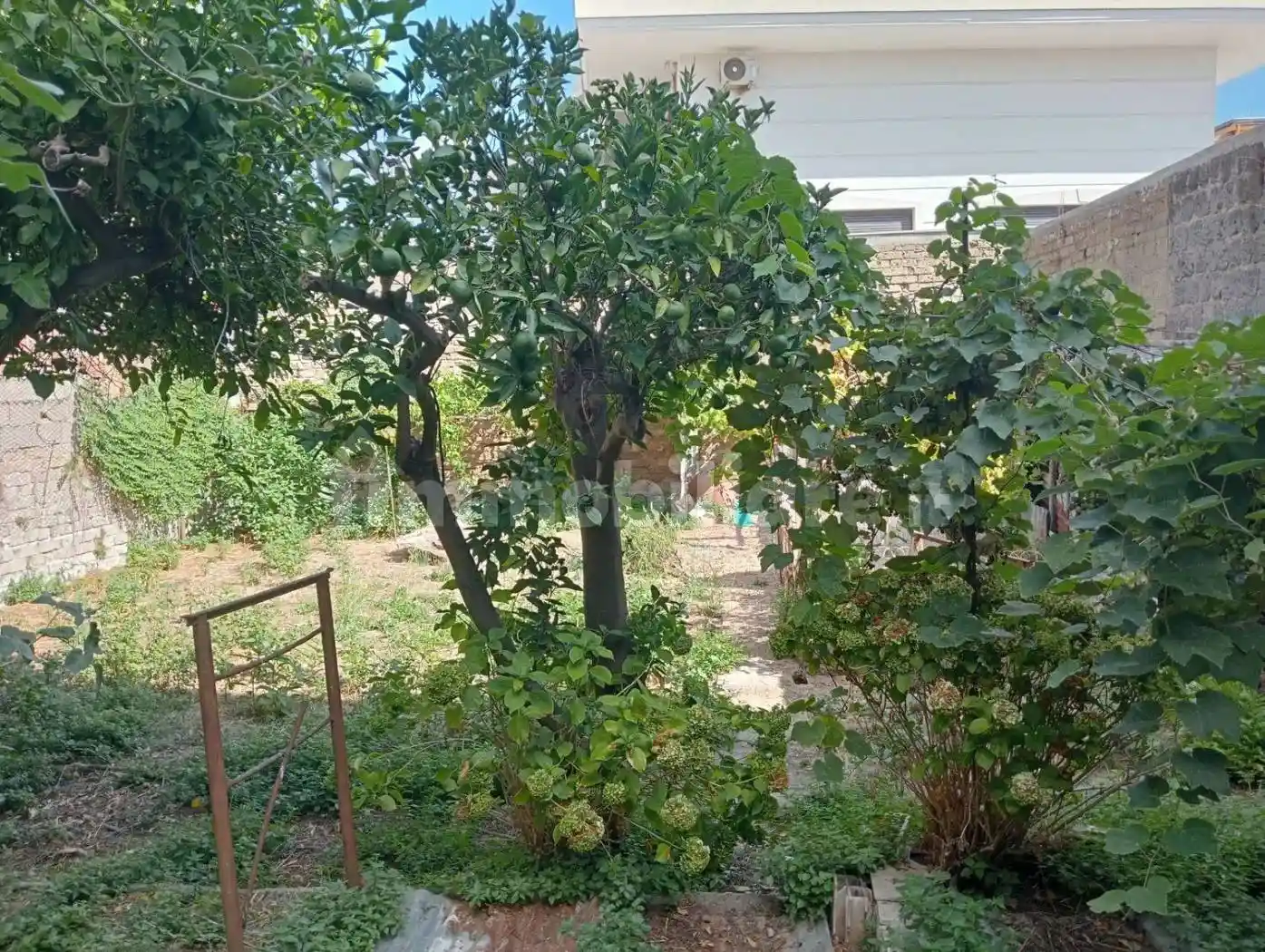 Palazzo - Edificio in Vendita - foto 3