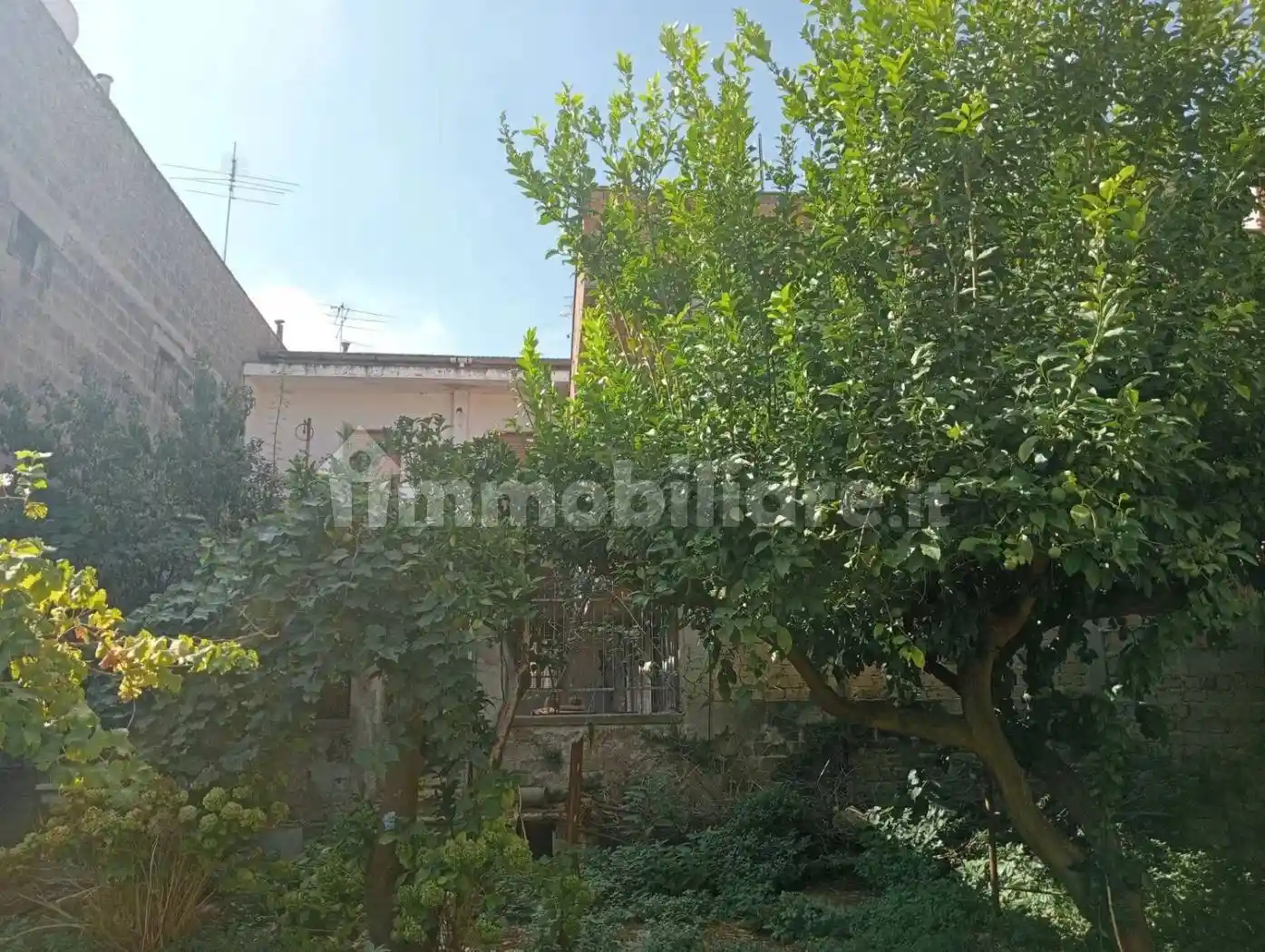 Palazzo - Edificio in Vendita - foto 5