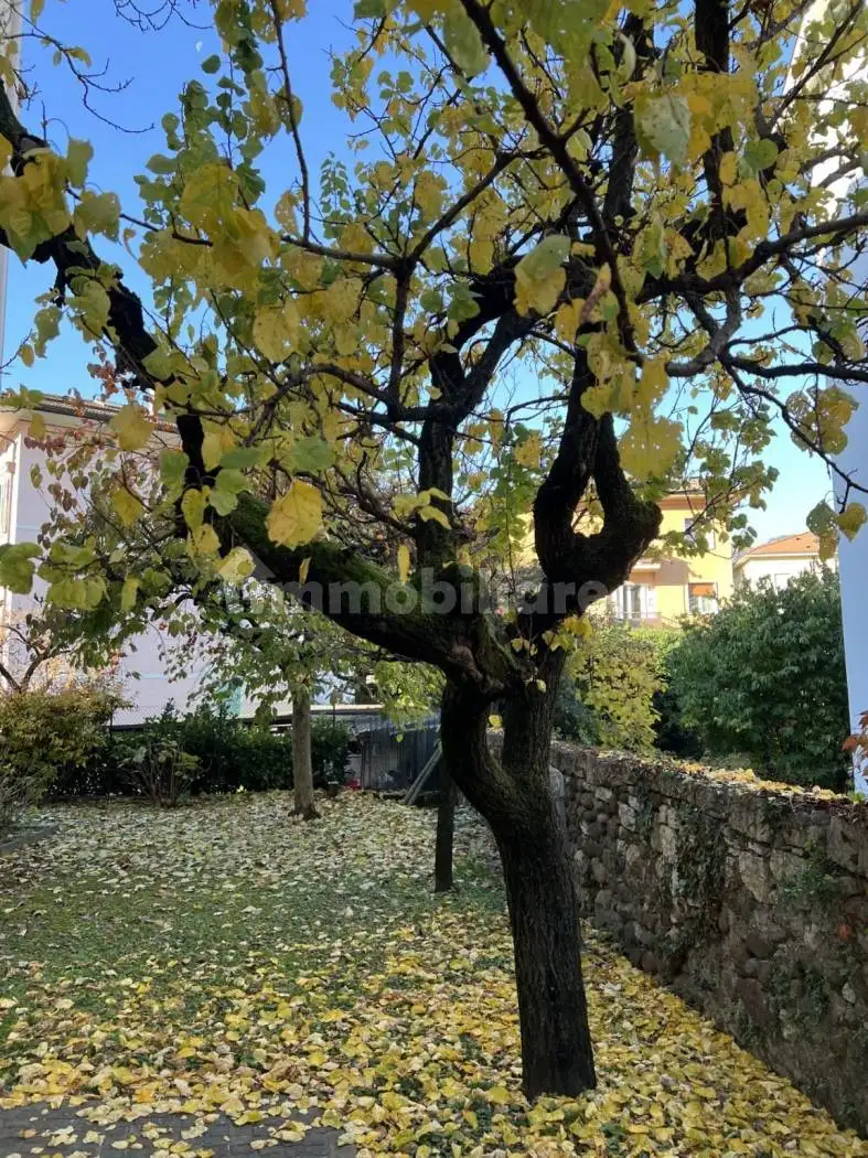 Appartamento in affitto a Trento