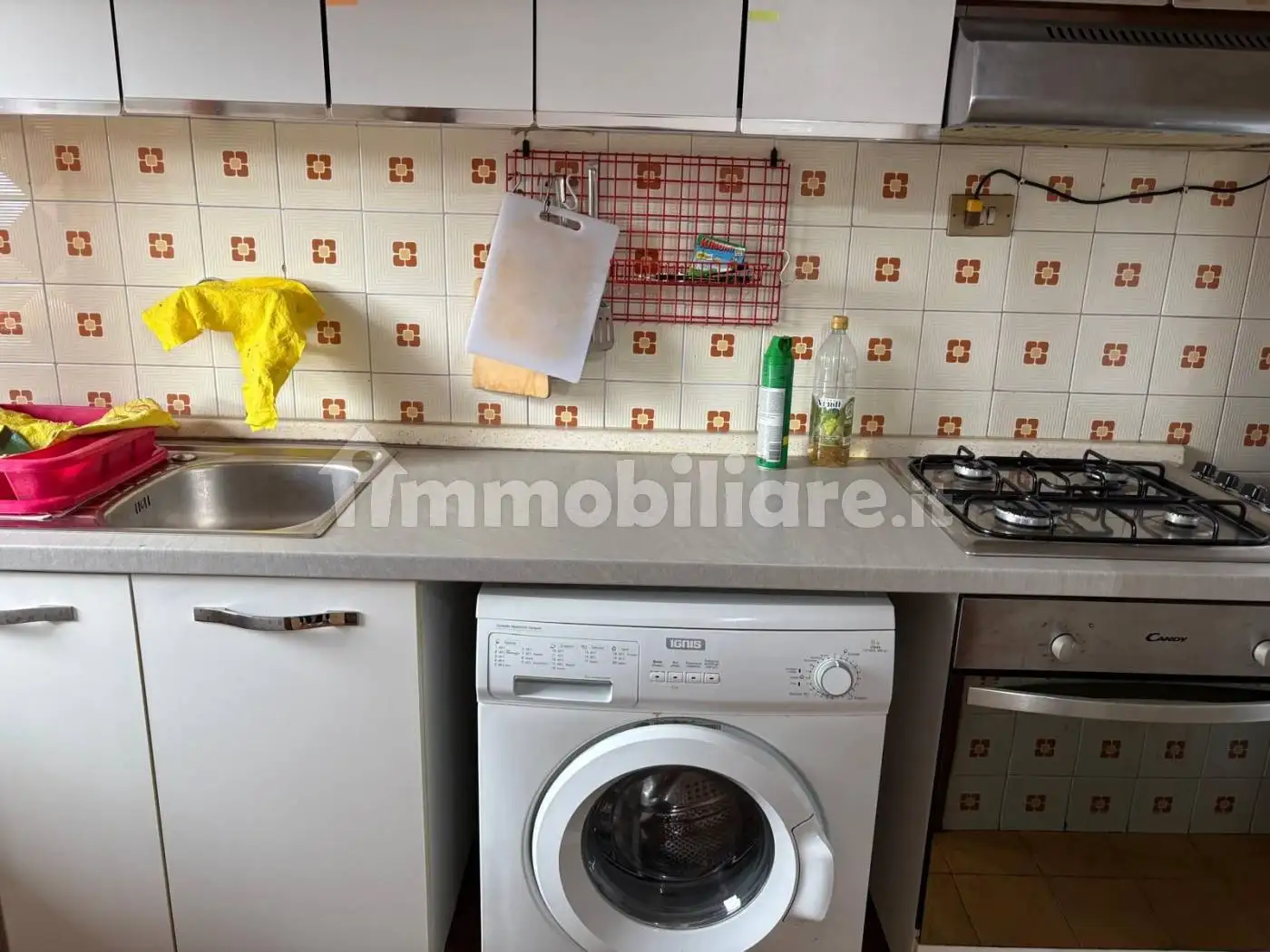 Appartamento in affitto a Pisa