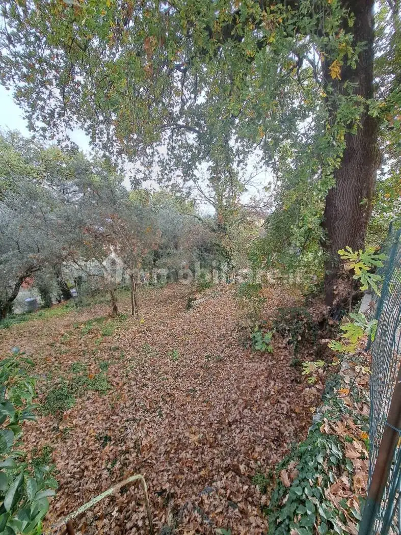 Villa unifamiliare via della Pace 1, Centro, Avigliano Umbro - foto 4