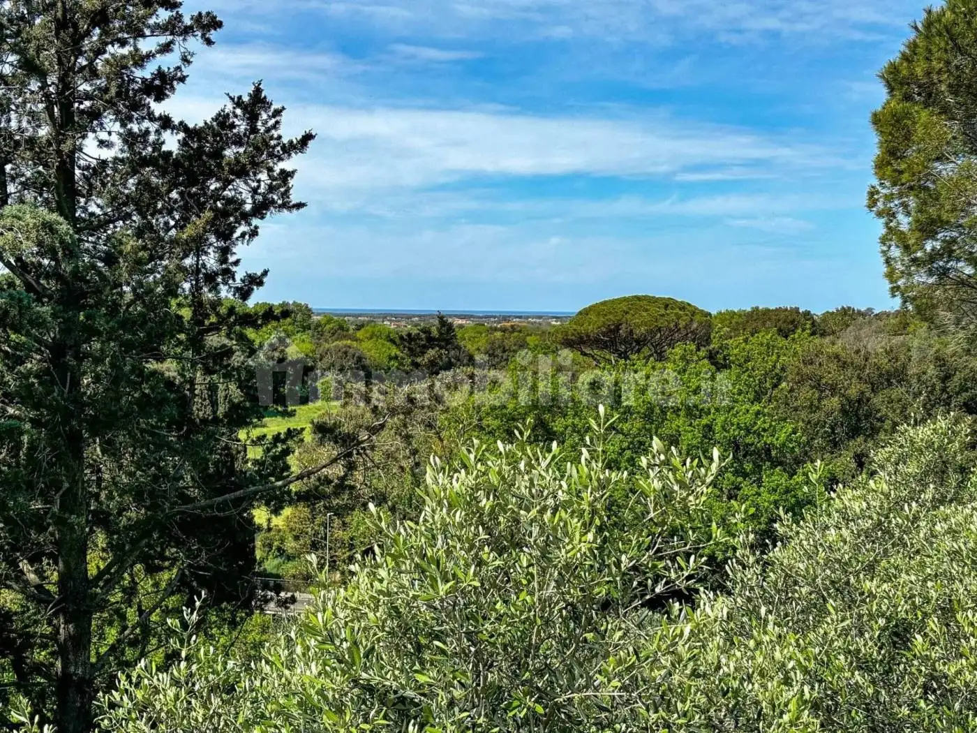 Trilocale piano terra, Bibbona - foto 3