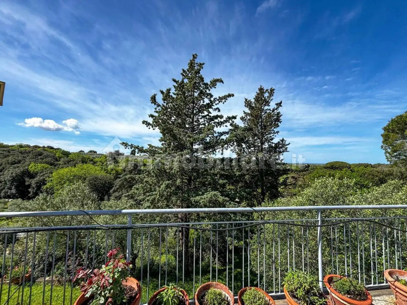 Trilocale piano terra, Bibbona - foto 5