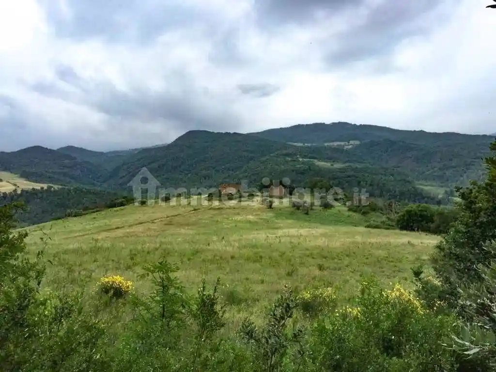 Rustico - Casale in vendita a Pomarance