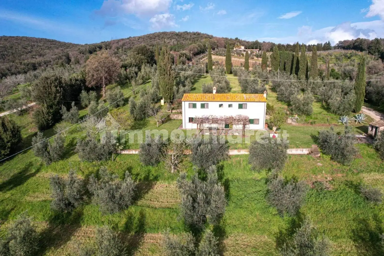 Rustico - Casale in vendita a Castagneto Carducci