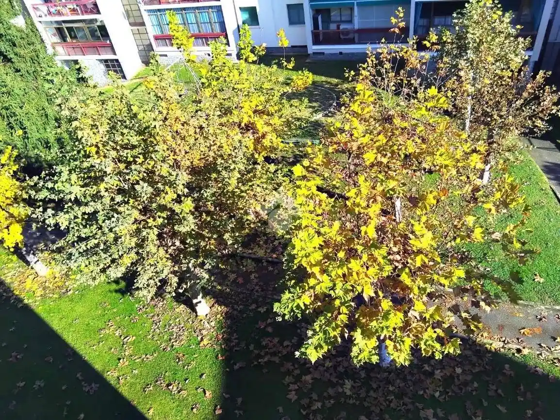 Quadrilocale via torino 43, Piossasco - foto 4