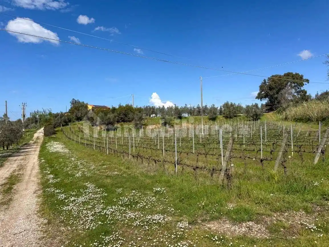 Villa unifamiliare 310 m², Castagneto Carducci - foto 5