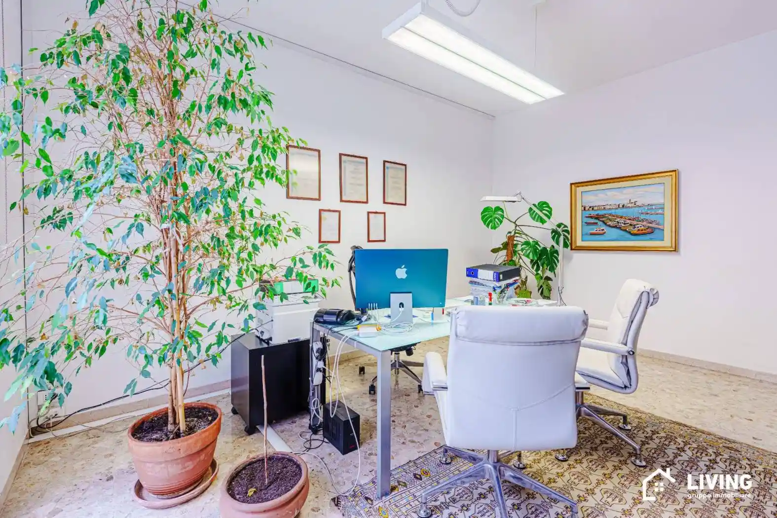 Quadrilocale viale Vittoria Colonna 48, Porta Nuova, Pescara - foto 4