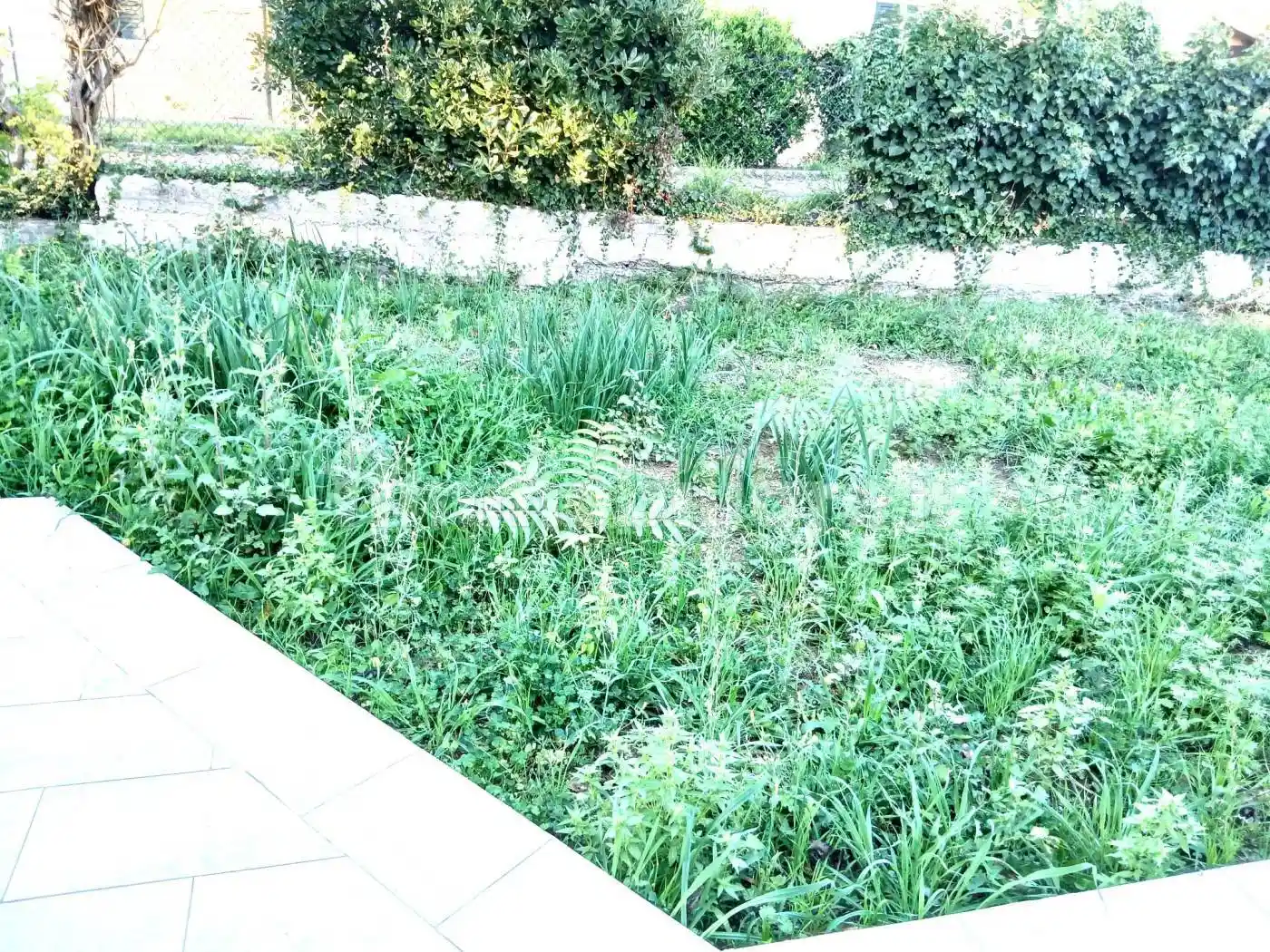 Terratetto unifamiliare via Aretina, Centro, Castiglion Fiorentino - foto 2