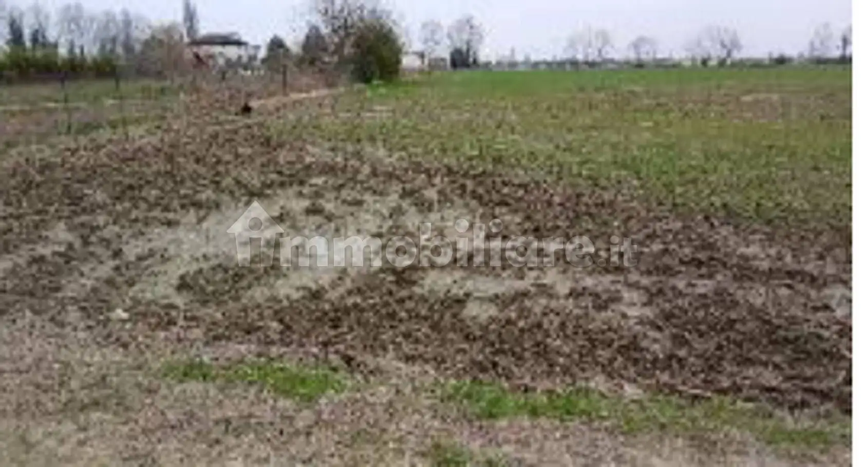 Rustico - Casale in asta a Povegliano Veronese