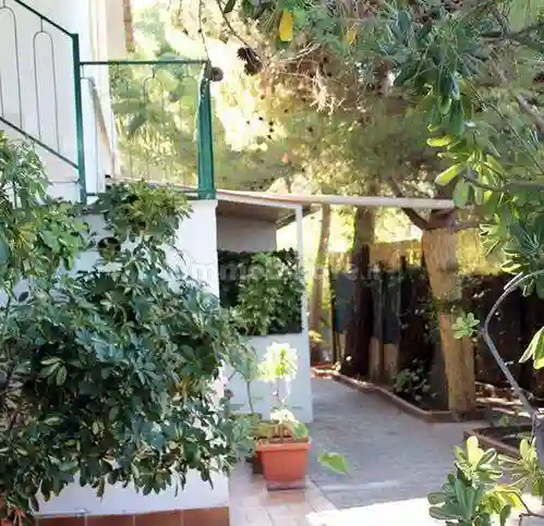 Palazzo - Edificio - foto 5