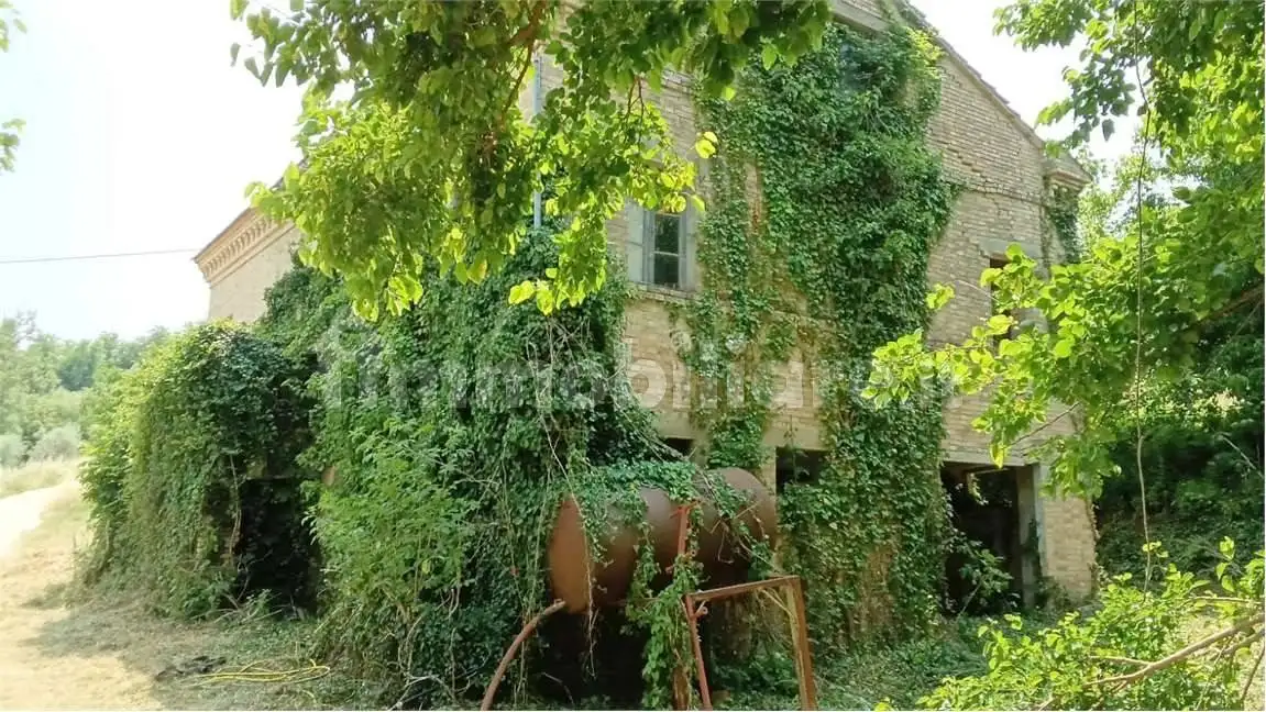 Rustico - Casale in vendita a Montelparo
