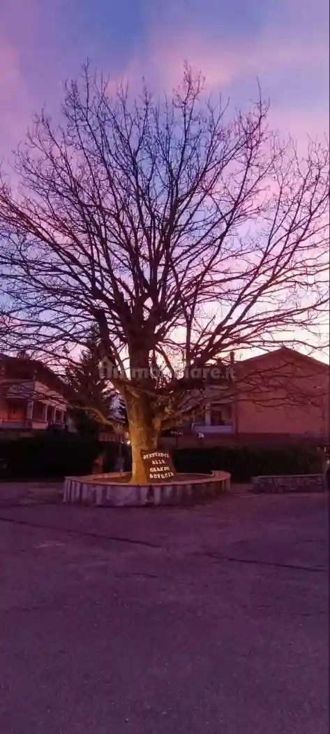 Trilocale via La Grande Quercia Nuova 10, Vinchiaturo - foto 4