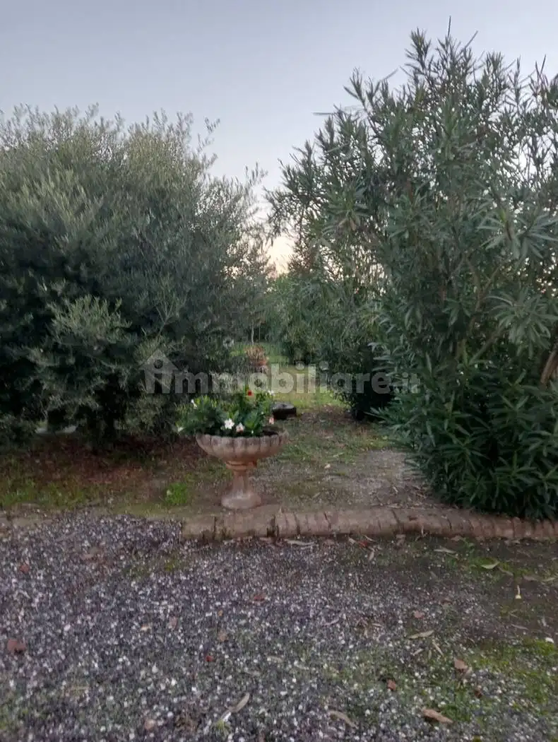 Villa in vendita a Polesella