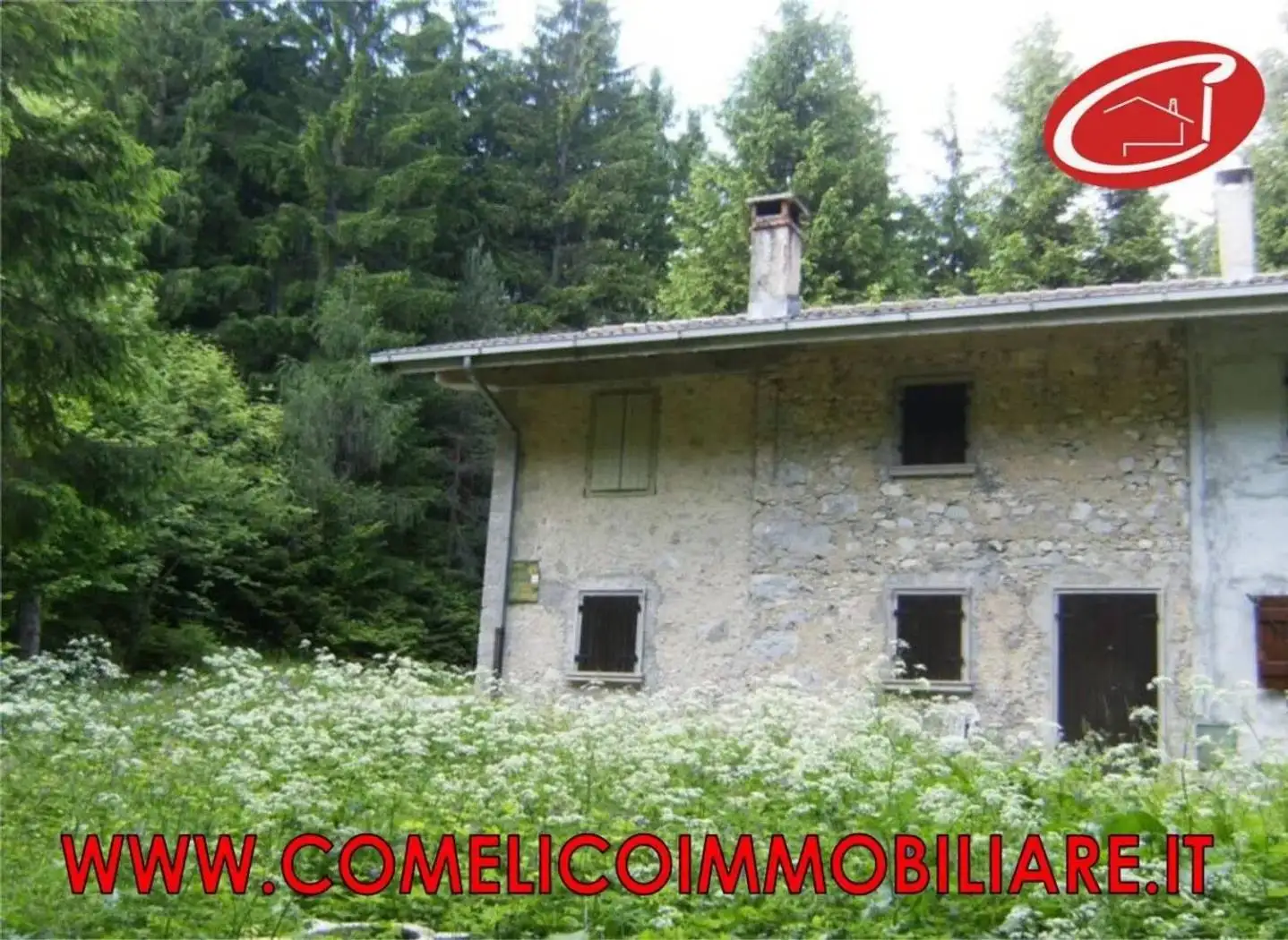 Villa in vendita a Vigo di Cadore