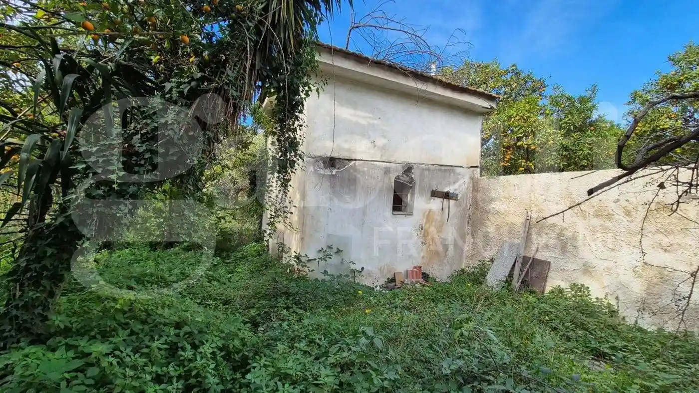 Palazzo - Edificio - foto 5