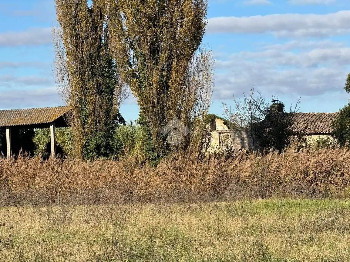 Rustico - Casale in vendita a Spello