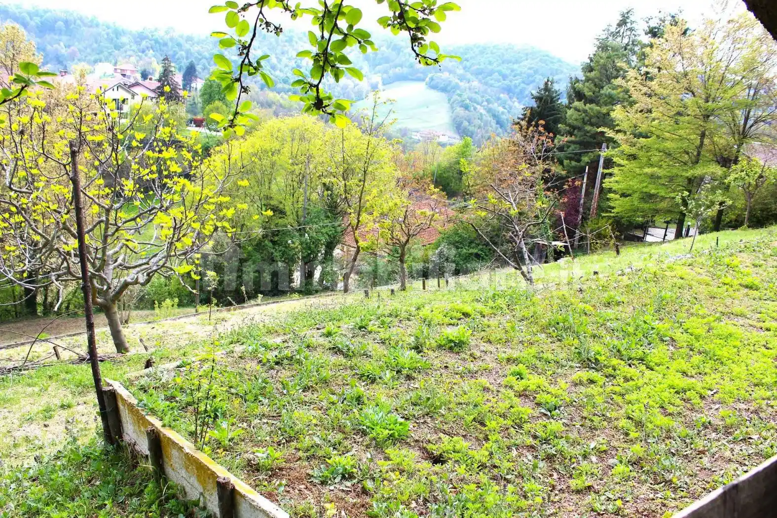 Villa plurifamiliare Strada Provinciale di Cordova, Cordova, Castiglione Torinese - foto 3