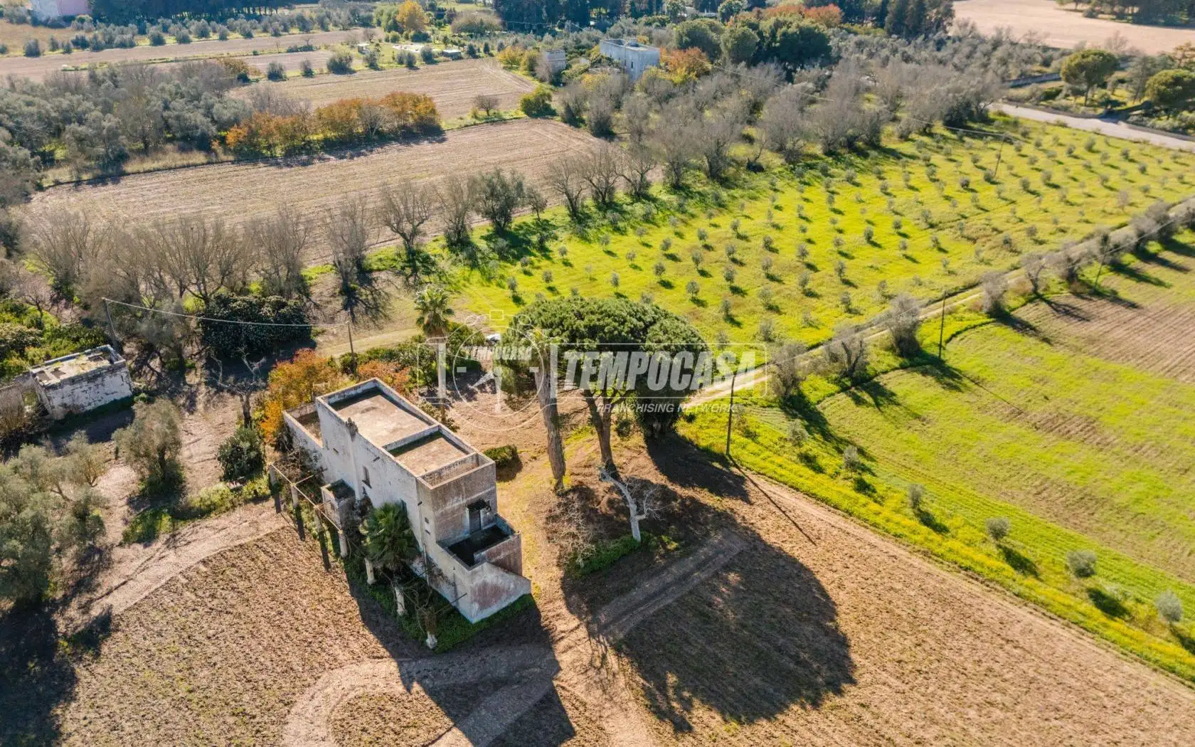 Palazzo - Edificio in vendita a Cutrofiano