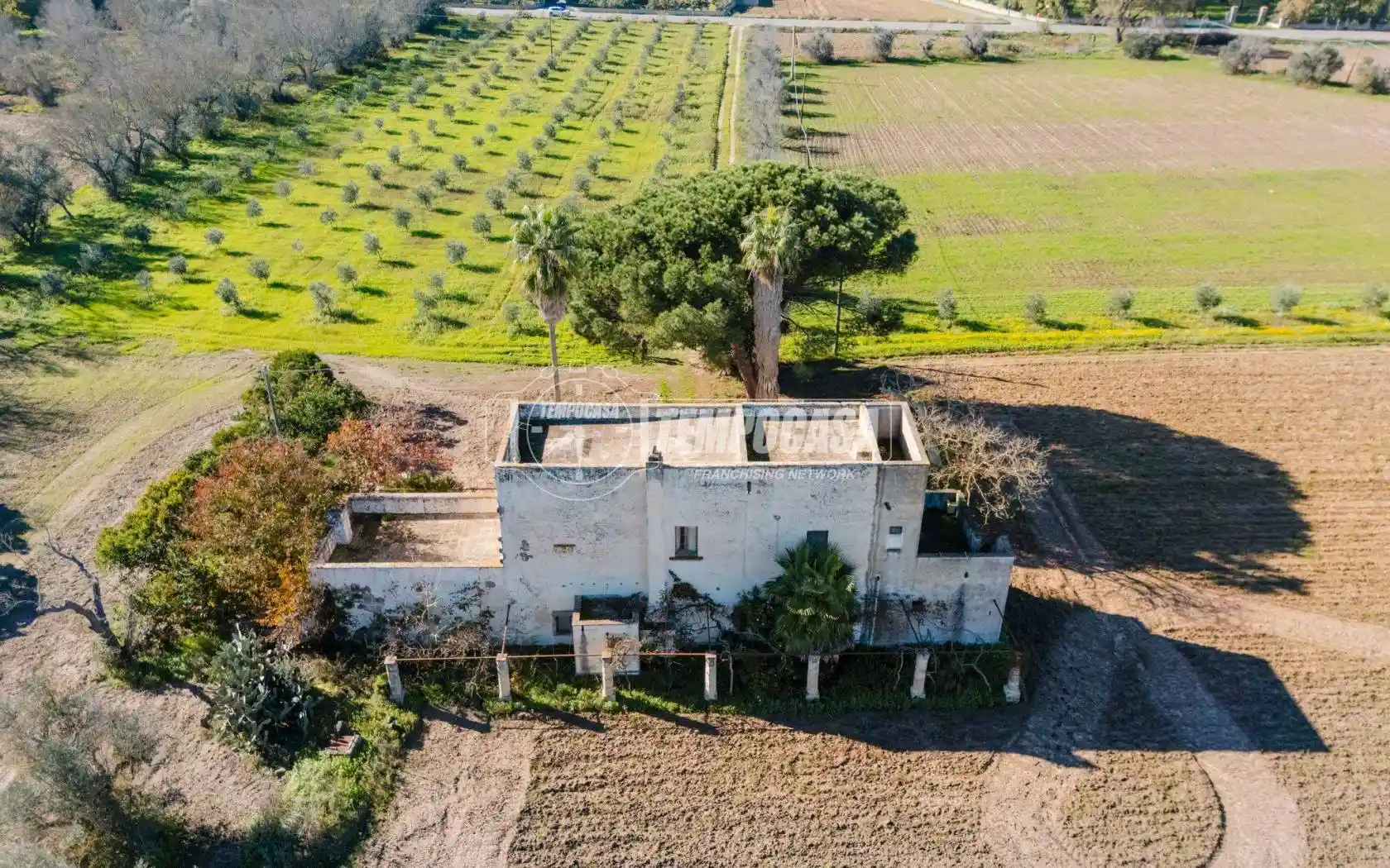 Palazzo - Edificio in Vendita - foto 4