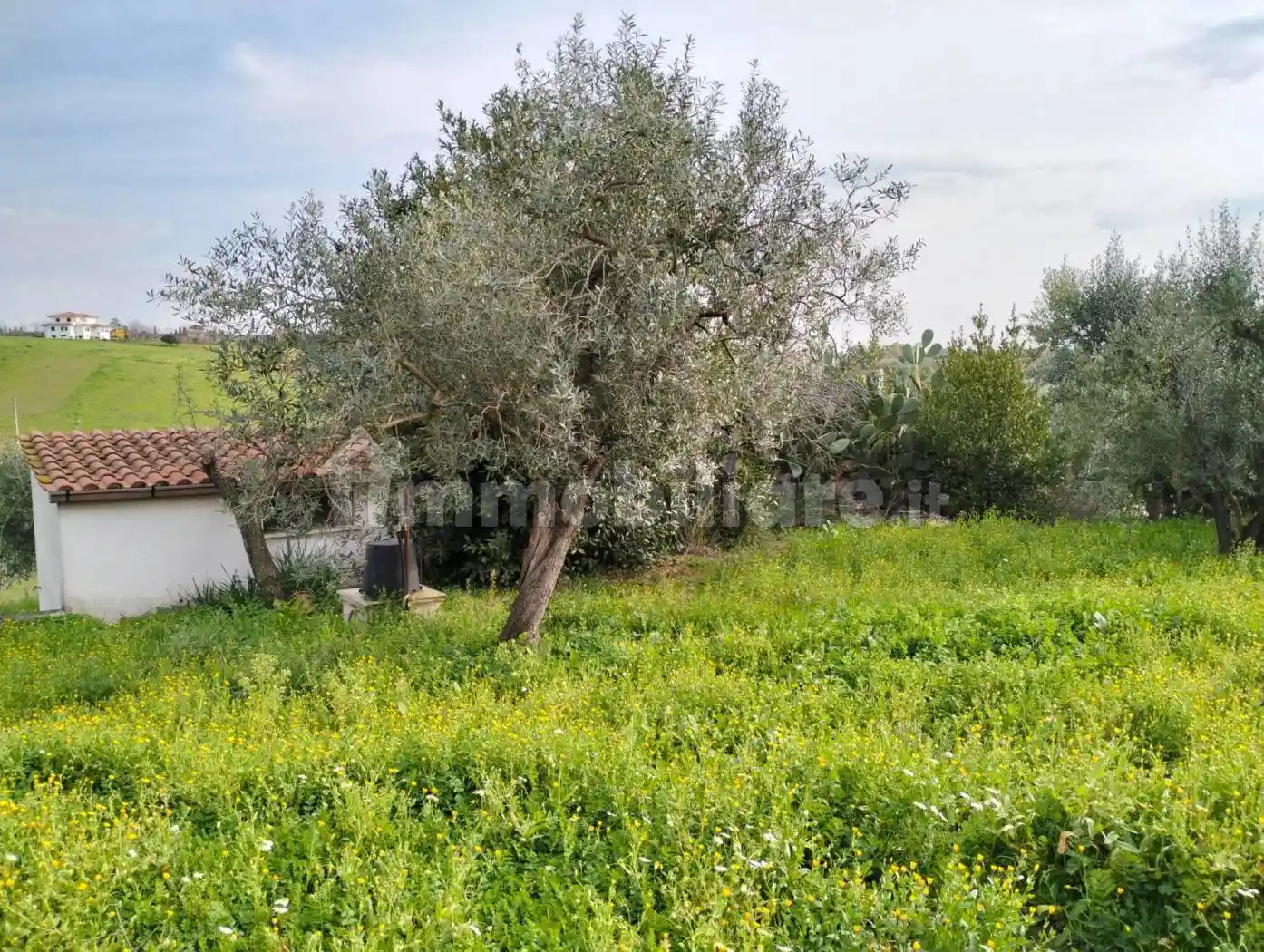 Terratetto unifamiliare via montagnanello, Pescarella - Montagnano di Ardea, Ardea - foto 4