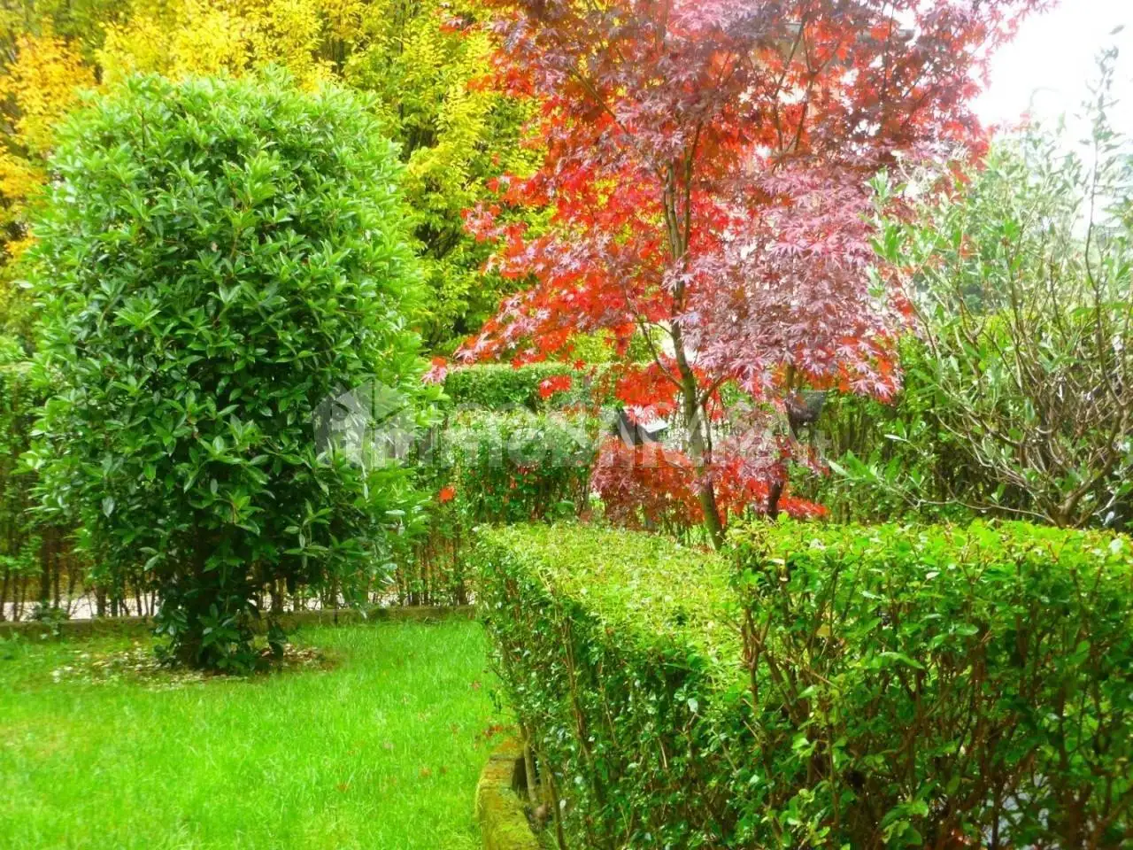 Appartamento in affitto a Peschiera Borromeo