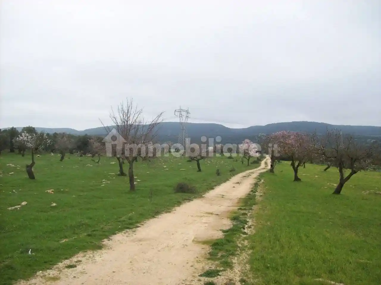 Masseria Sp48, Crispiano - foto 2