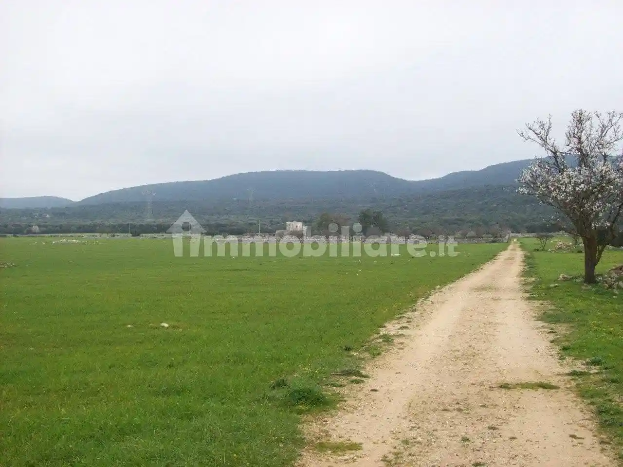 Masseria Sp48, Crispiano - foto 3