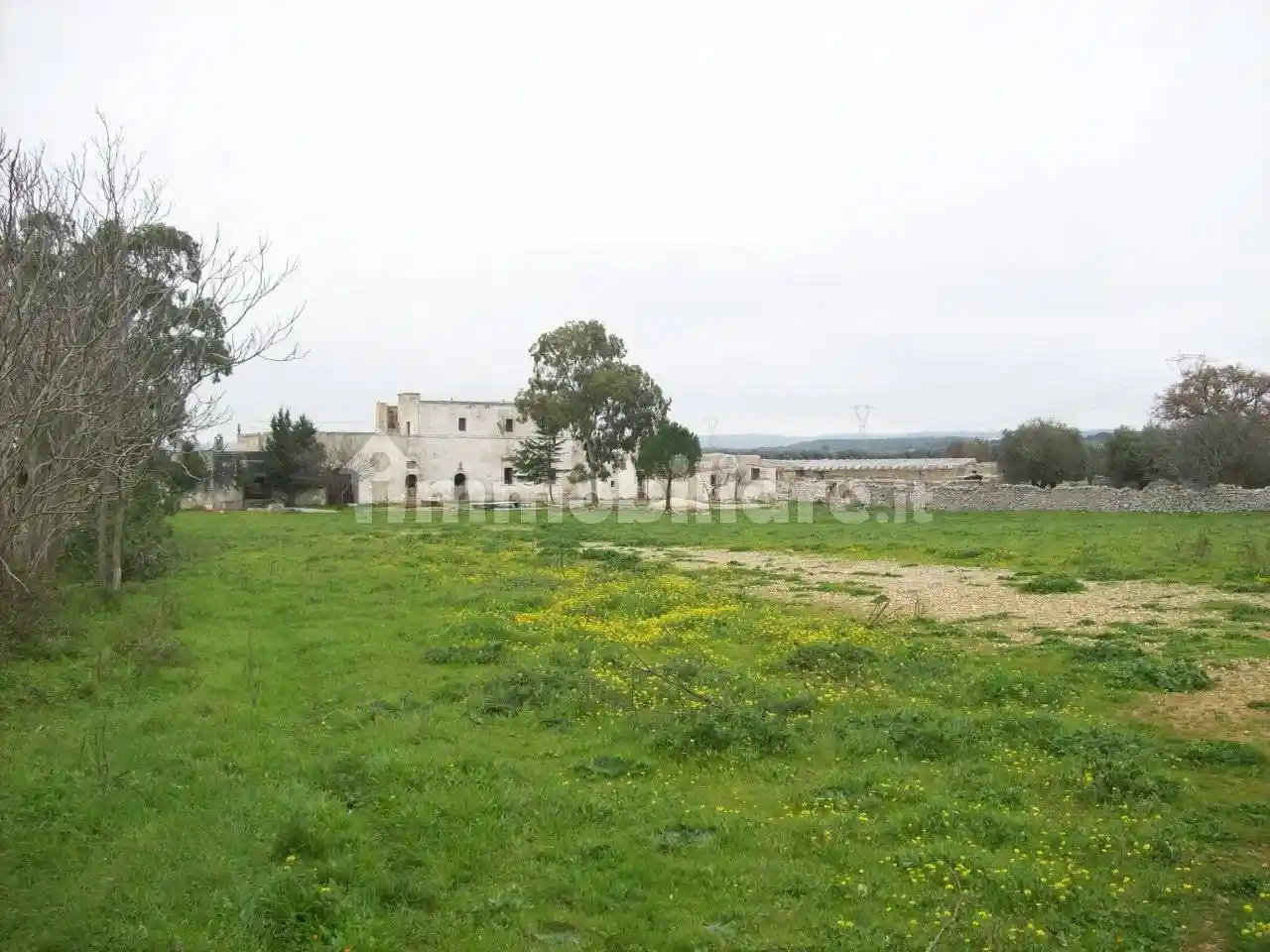 Masseria Sp48, Crispiano - foto 4