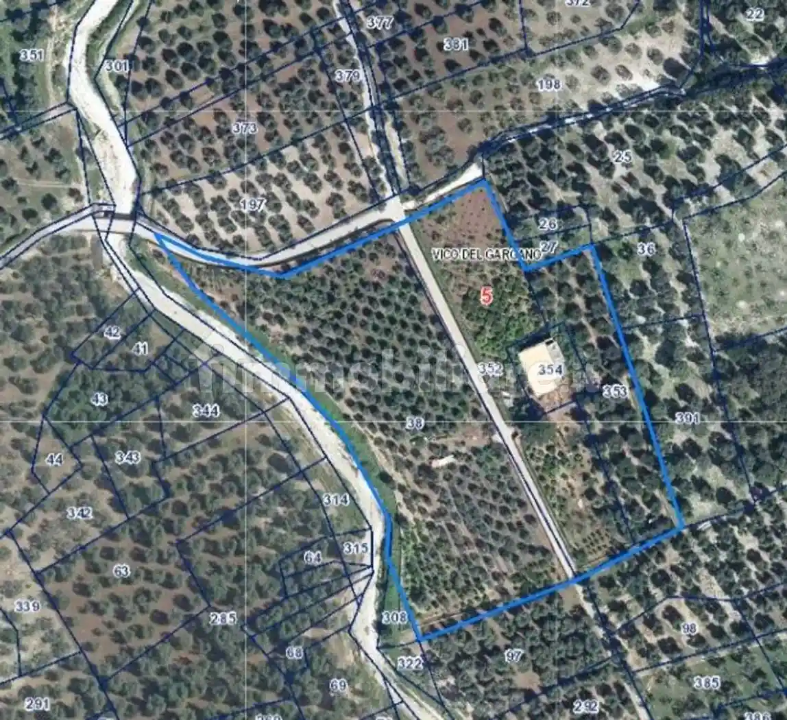 Palazzo - Edificio - foto 3