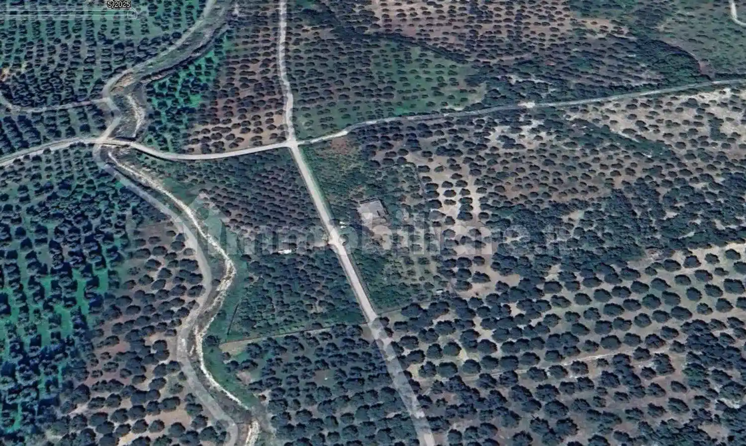 Palazzo - Edificio - foto 4