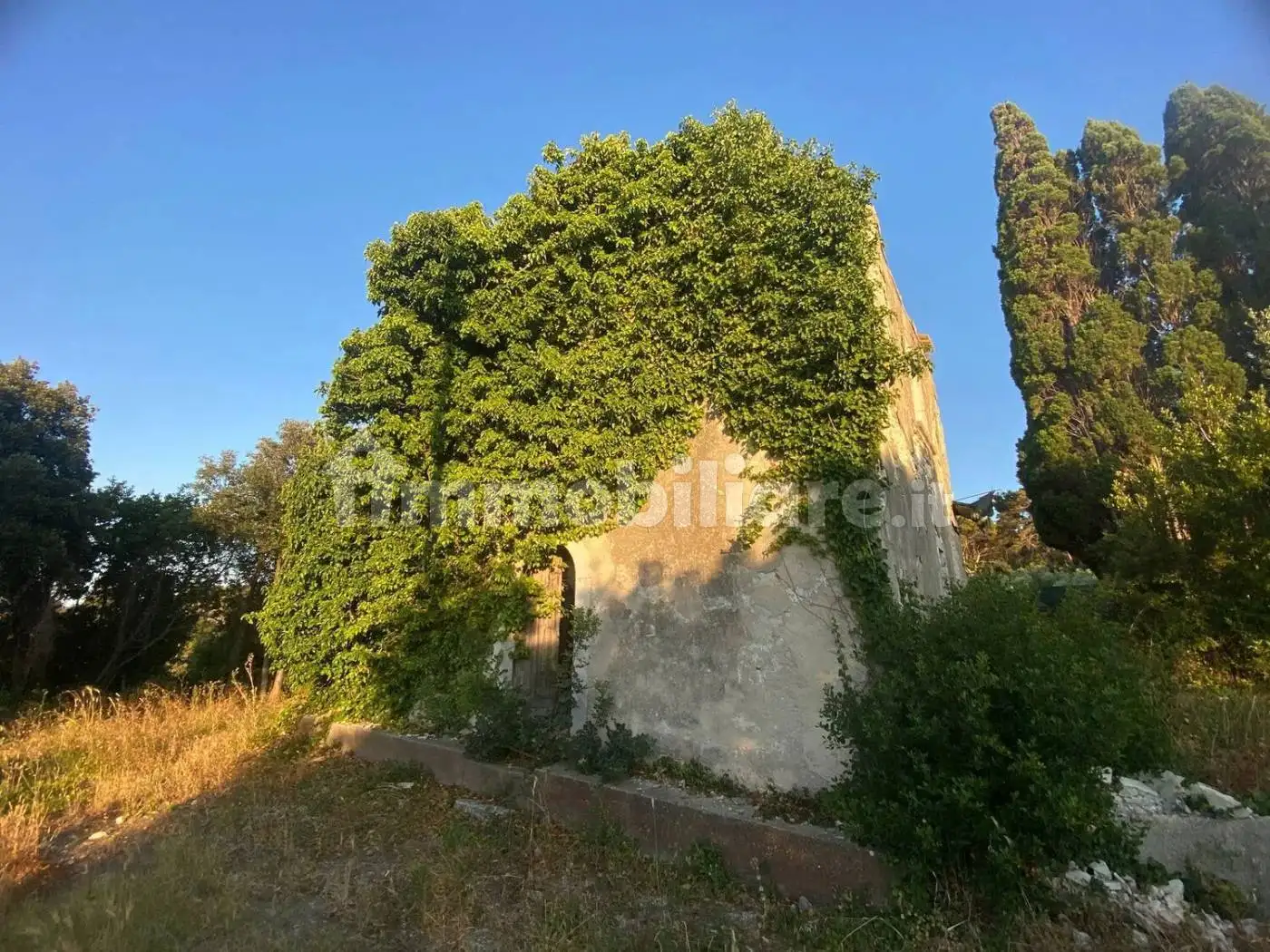 Rustico - Casale in vendita a Rodi Garganico