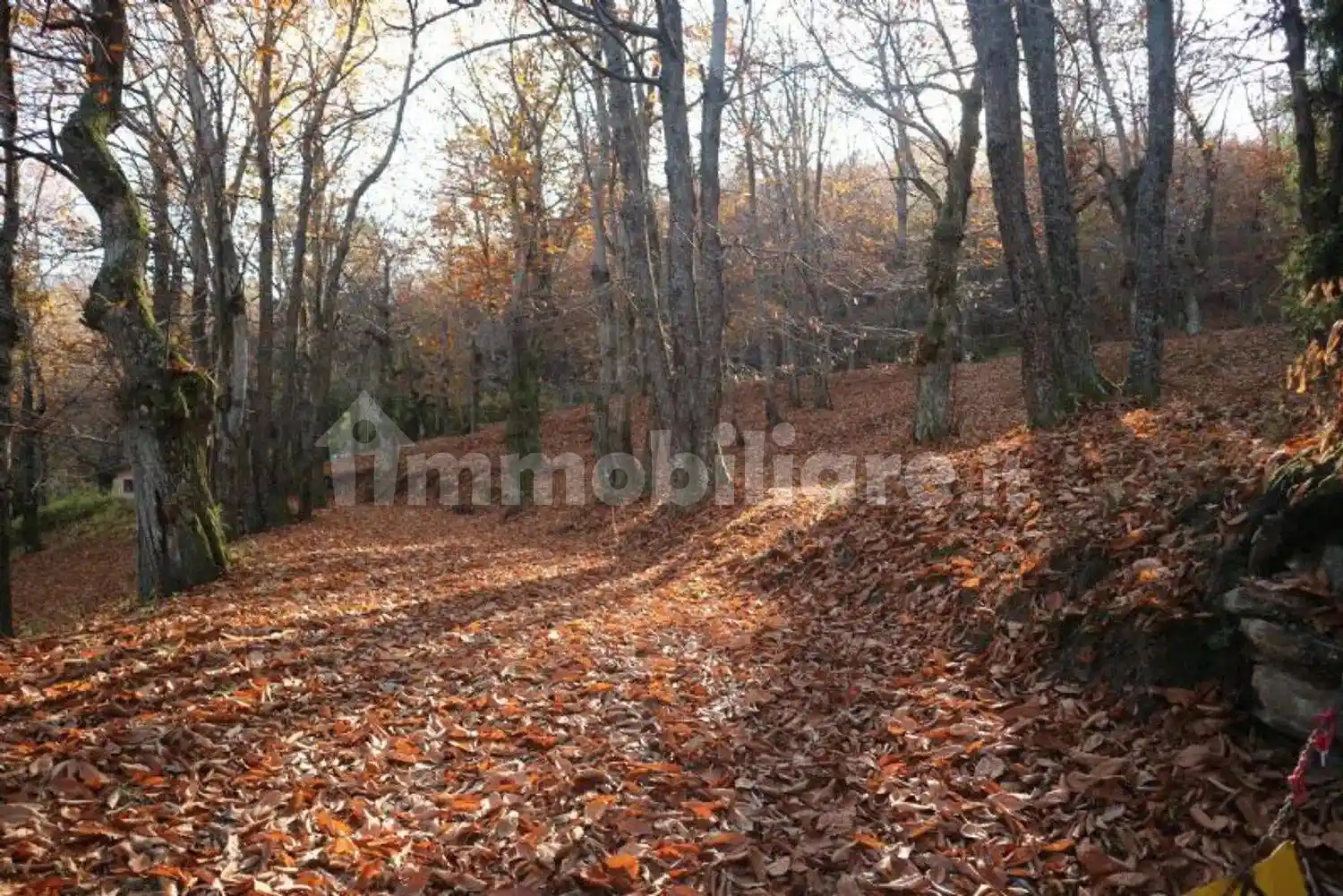 Villa unifamiliare piazza Della Vittoria No Number, Centro, Fanano - foto 3