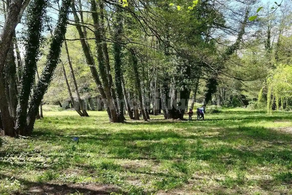 Palazzo - Edificio - foto 3