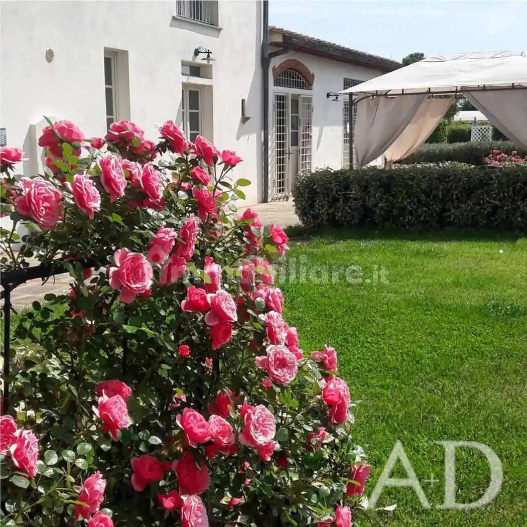 Casa colonica via di Ramini, Ramini - Bargi, Pistoia - foto 5