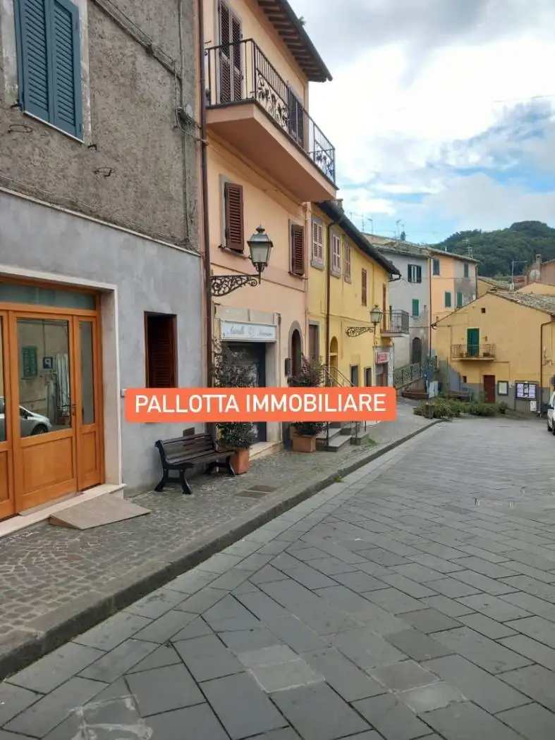 Appartamento in vendita a Capodimonte