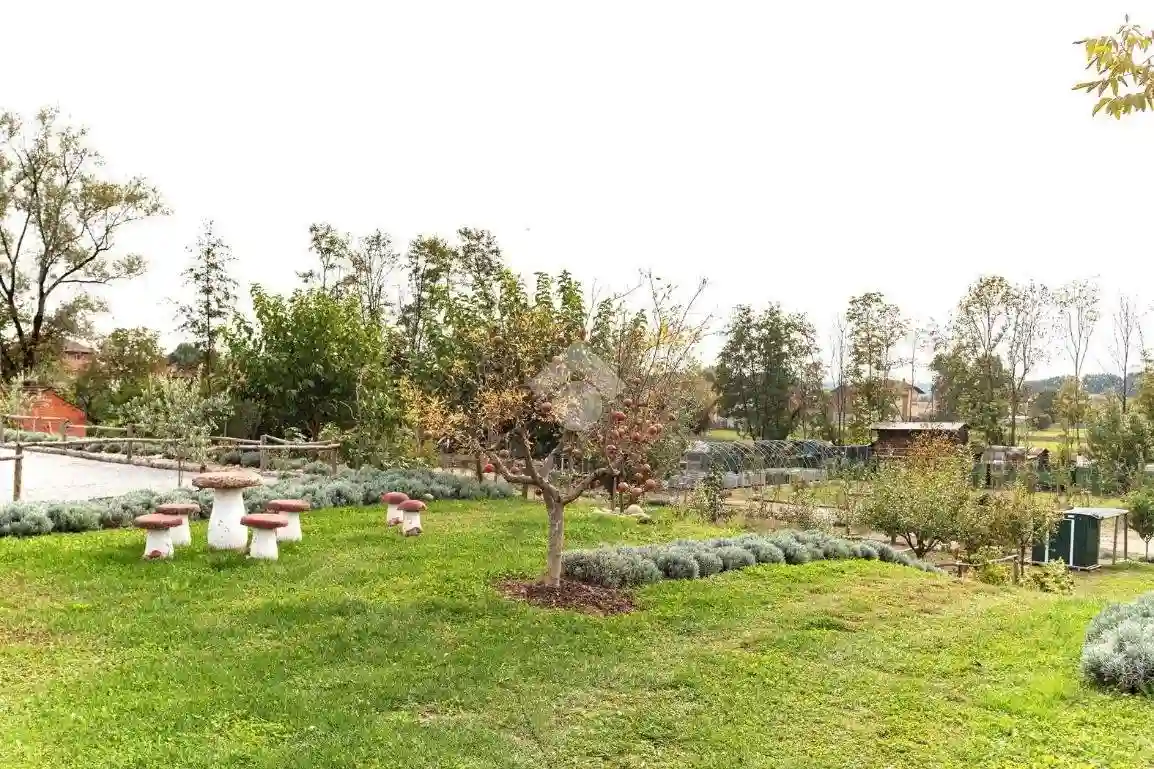 Rustico - Casale - foto 5