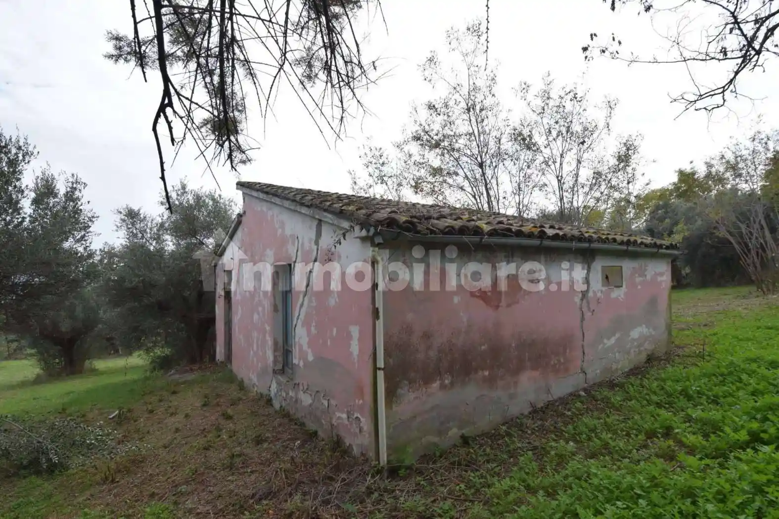 Bilocale via del Cimitero, Cipressi, Città Sant'Angelo - foto 3