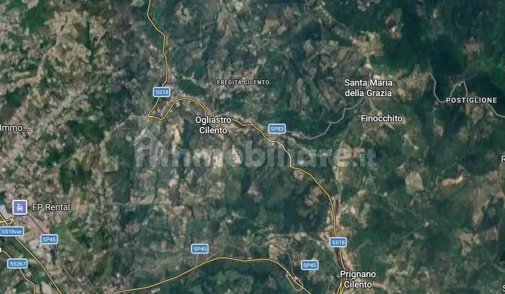 Casa indipendente in asta a Ogliastro Cilento