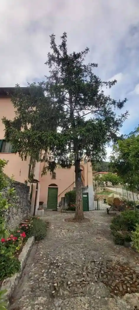 Appartamento in vendita a Camporosso