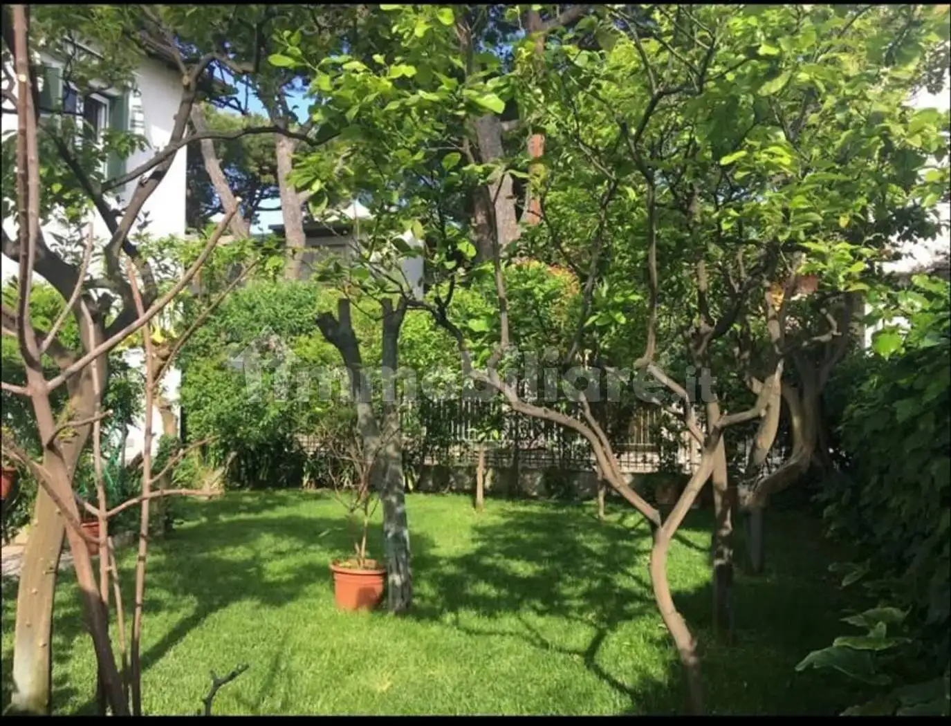 Appartamento in affitto a Bordighera