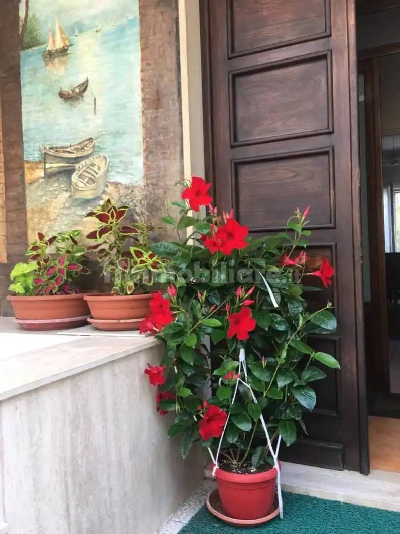 Trilocale via Serena, Piani di Borghetto, Ospedale, Bordighera - foto 2