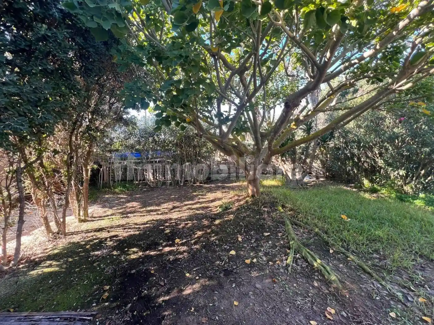 Villa unifamiliare via Calamoni, Centro, Favignana - foto 3