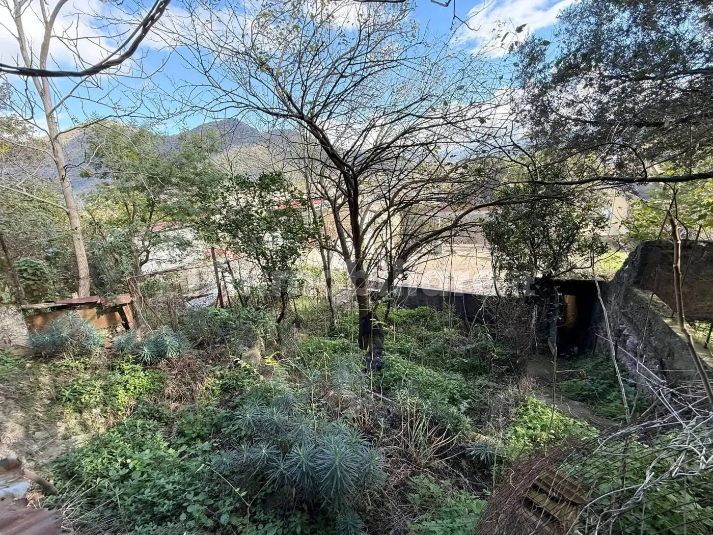 Monolocale via Giuseppe Cerrato, Centro, Castel San Giorgio - foto 5