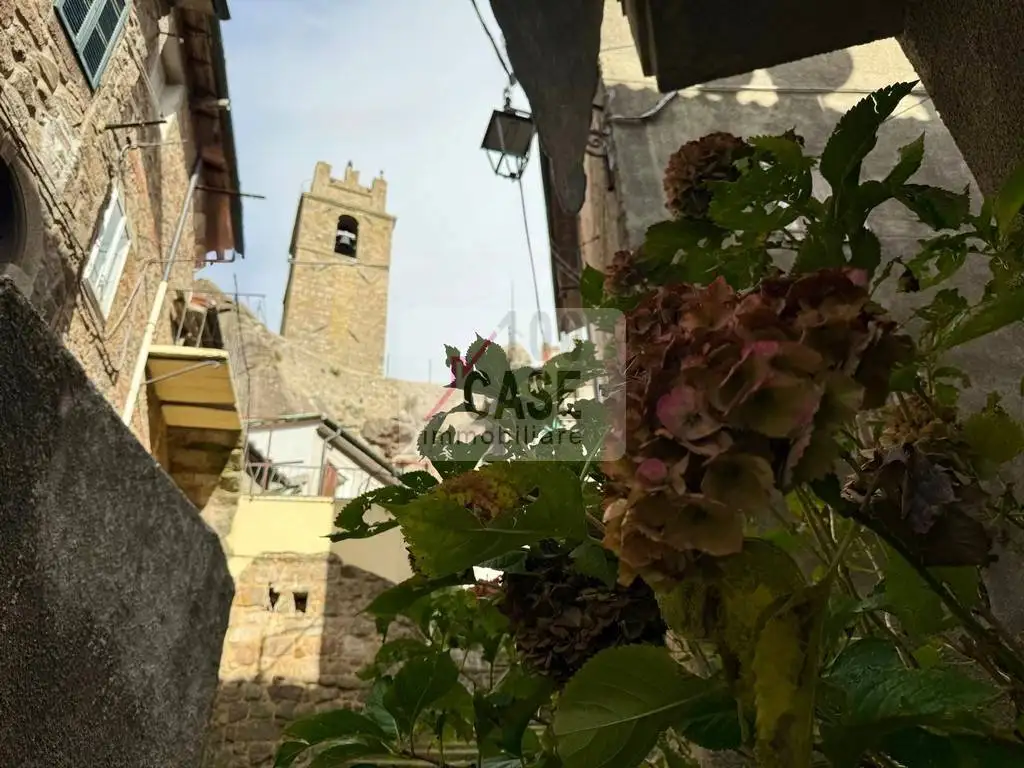 Appartamento in vendita a Piancastagnaio