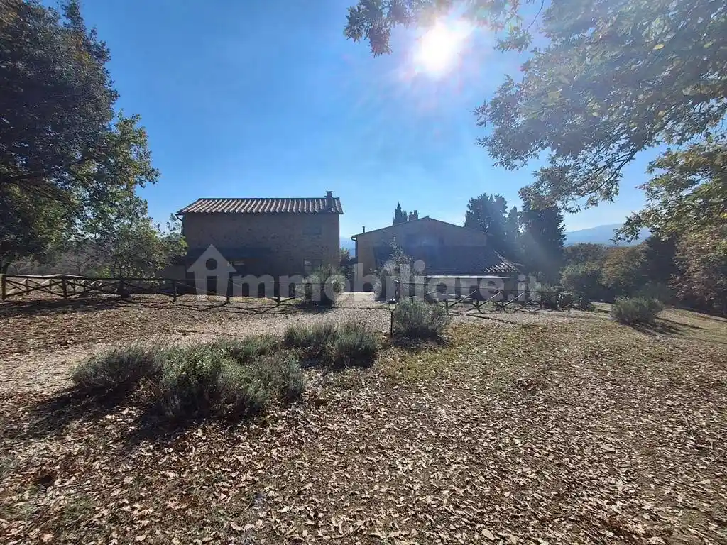 Terratetto plurifamiliare Località Fattoria Cotorniano, Casole d'Elsa - foto 3